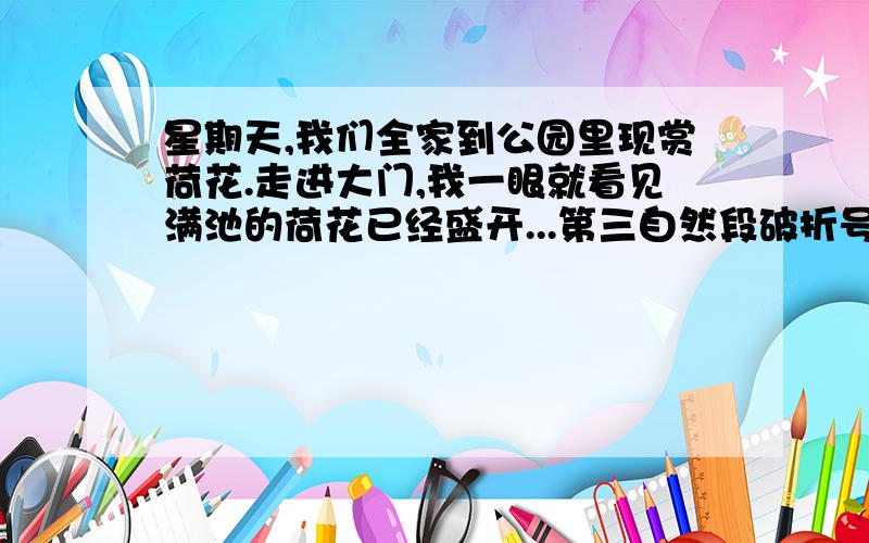 星期天,我们全家到公园里现赏荷花.走进大门,我一眼就看见满池的荷花已经盛开...第三自然段破折号的作用