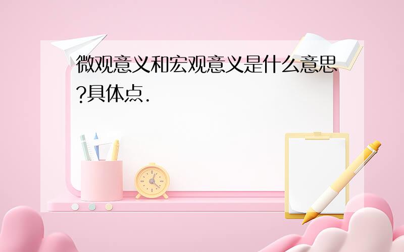 微观意义和宏观意义是什么意思?具体点.