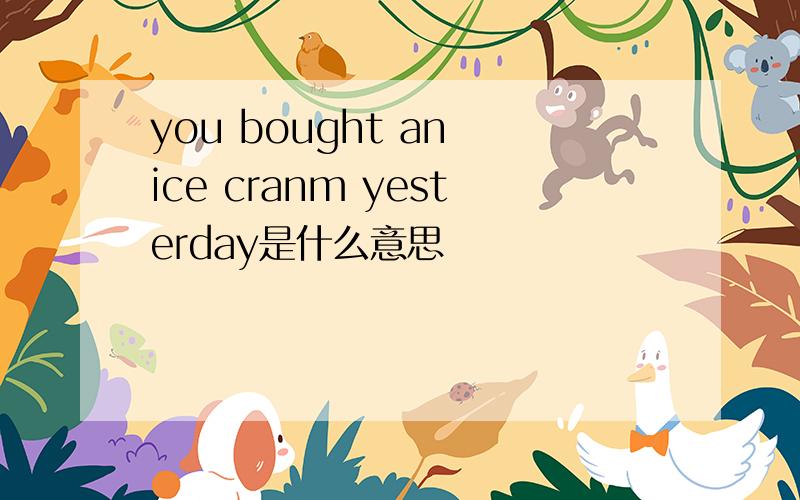 you bought an ice cranm yesterday是什么意思