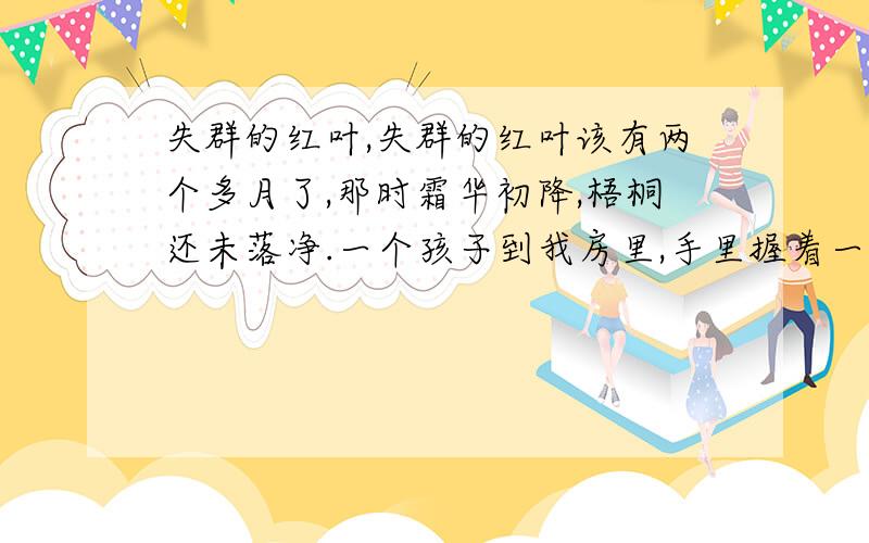 失群的红叶,失群的红叶该有两个多月了,那时霜华初降,梧桐还未落净.一个孩子到我房里,手里握着一束红叶,临走时送了我两片,