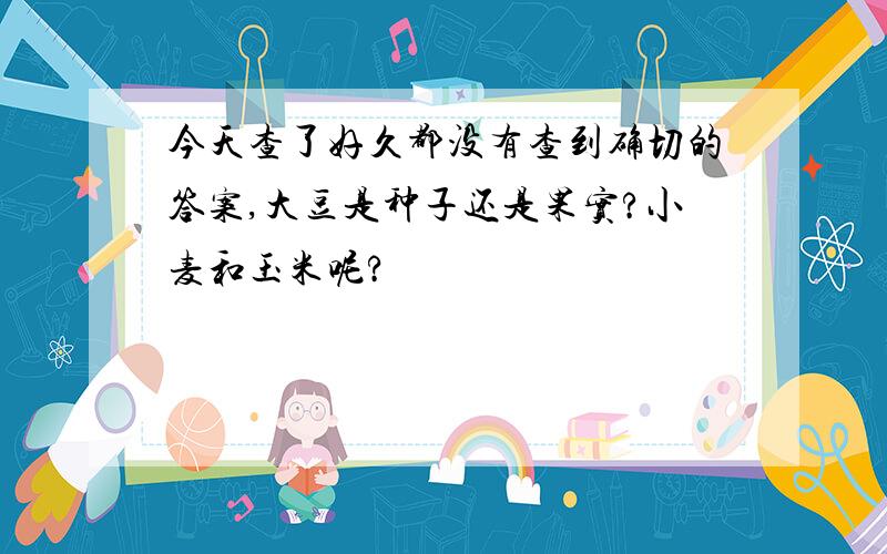 今天查了好久都没有查到确切的答案,大豆是种子还是果实?小麦和玉米呢?