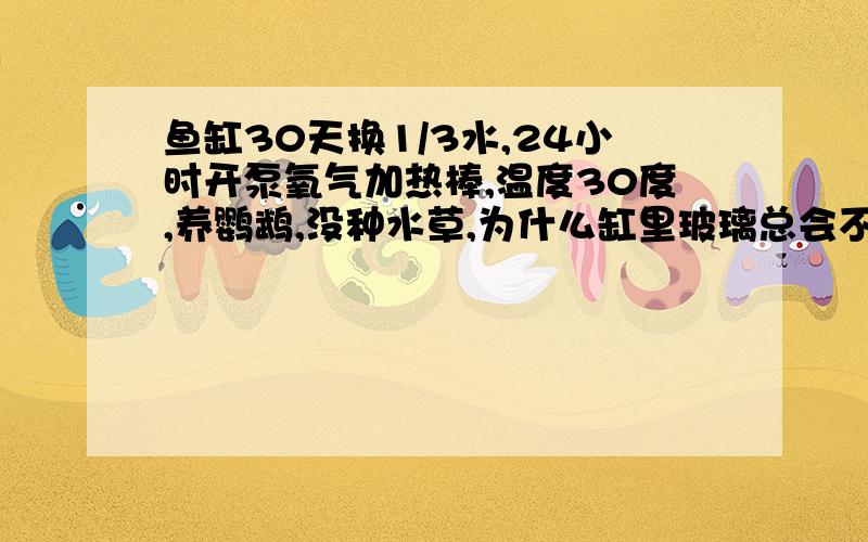 鱼缸30天换1/3水,24小时开泵氧气加热棒,温度30度,养鹦鹉,没种水草,为什么缸里玻璃总会不断长一块块苔