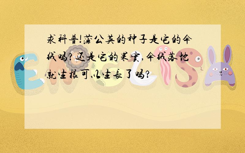 求科普!蒲公英的种子是它的伞绒吗?还是它的果实,伞绒落地就生根可以生长了吗?