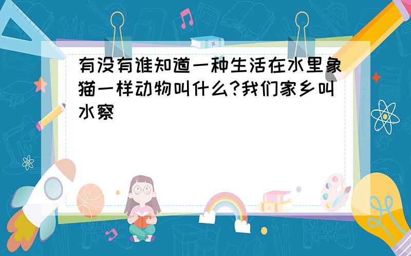 有没有谁知道一种生活在水里象猫一样动物叫什么?我们家乡叫水察