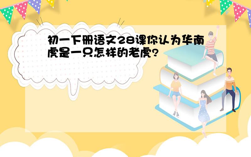 初一下册语文28课你认为华南虎是一只怎样的老虎?