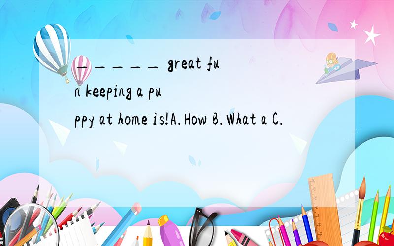 _____ great fun keeping a puppy at home is!A.How B.What a C.