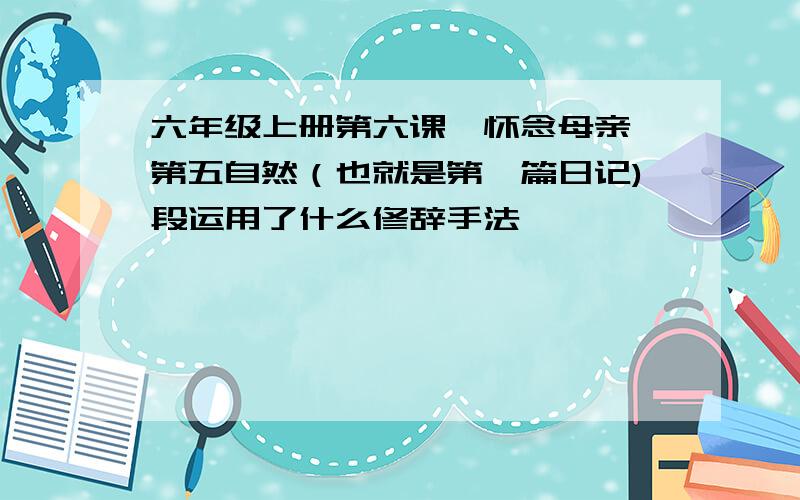 六年级上册第六课《怀念母亲》第五自然（也就是第一篇日记)段运用了什么修辞手法