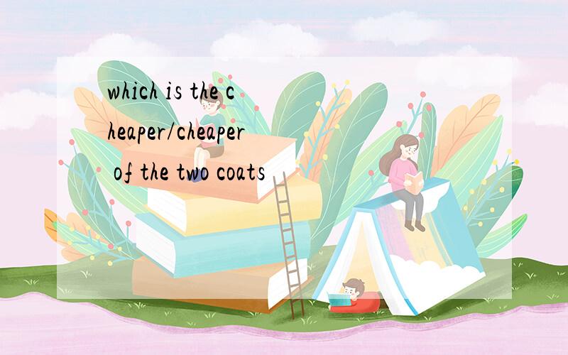 which is the cheaper/cheaper of the two coats