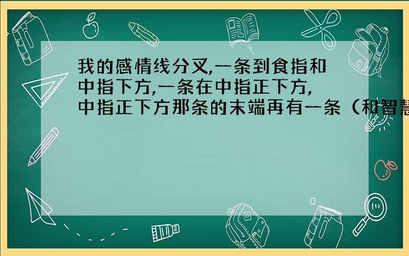 我的感情线分叉,一条到食指和中指下方,一条在中指正下方,中指正下方那条的末端再有一条（和智慧线平行,和感情线相接,起端就