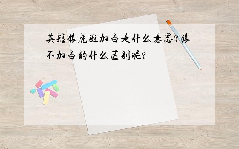 英短银虎斑加白是什么意思?跟不加白的什么区别呢?