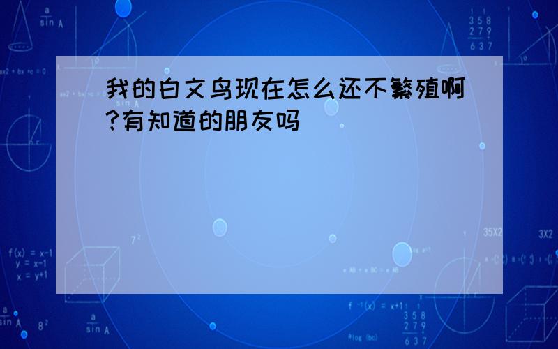 我的白文鸟现在怎么还不繁殖啊?有知道的朋友吗