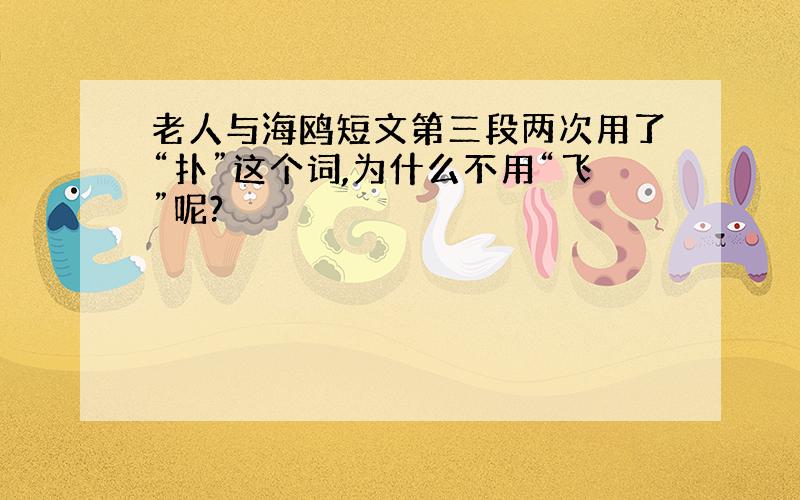 老人与海鸥短文第三段两次用了“扑”这个词,为什么不用“飞”呢?