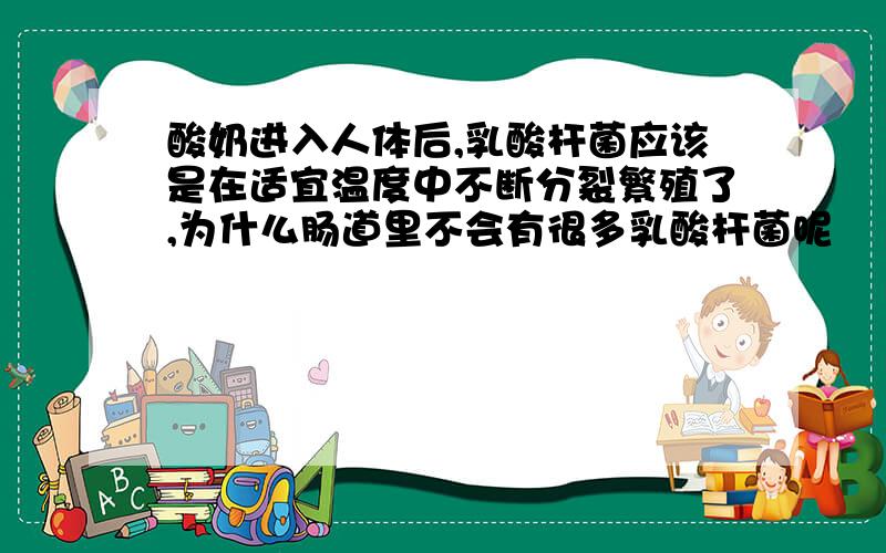 酸奶进入人体后,乳酸杆菌应该是在适宜温度中不断分裂繁殖了,为什么肠道里不会有很多乳酸杆菌呢