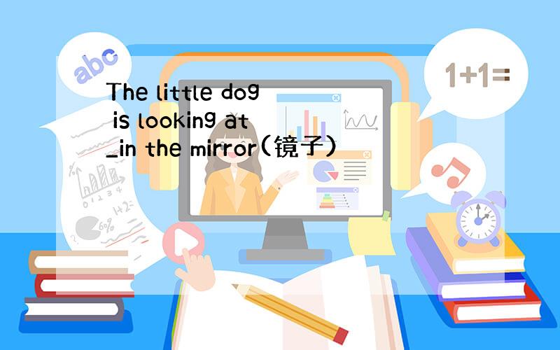 The little dog is looking at_in the mirror(镜子）