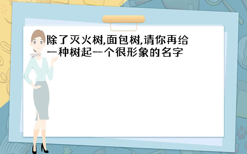 除了灭火树,面包树,请你再给一种树起一个很形象的名字