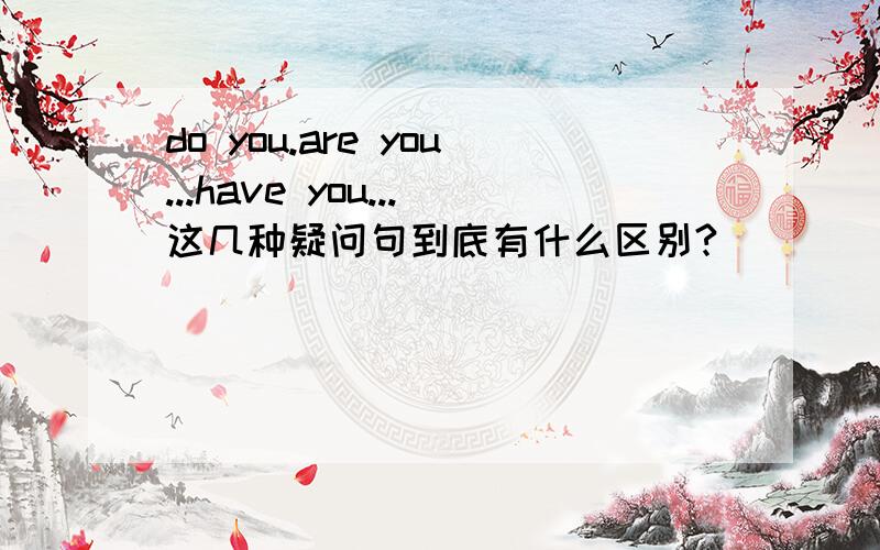 do you.are you...have you...这几种疑问句到底有什么区别?