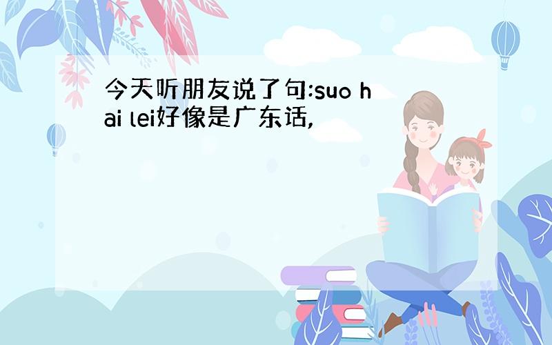 今天听朋友说了句:suo hai lei好像是广东话,