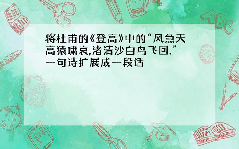 将杜甫的《登高》中的“风急天高猿啸哀,渚清沙白鸟飞回.”一句诗扩展成一段话