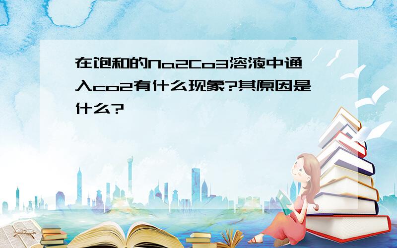 在饱和的Na2Co3溶液中通入co2有什么现象?其原因是什么?