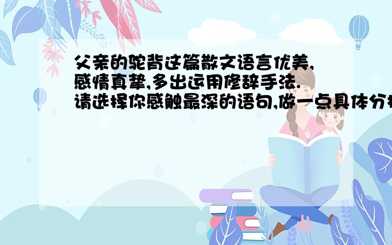 父亲的驼背这篇散文语言优美,感情真挚,多出运用修辞手法.请选择你感触最深的语句,做一点具体分析.