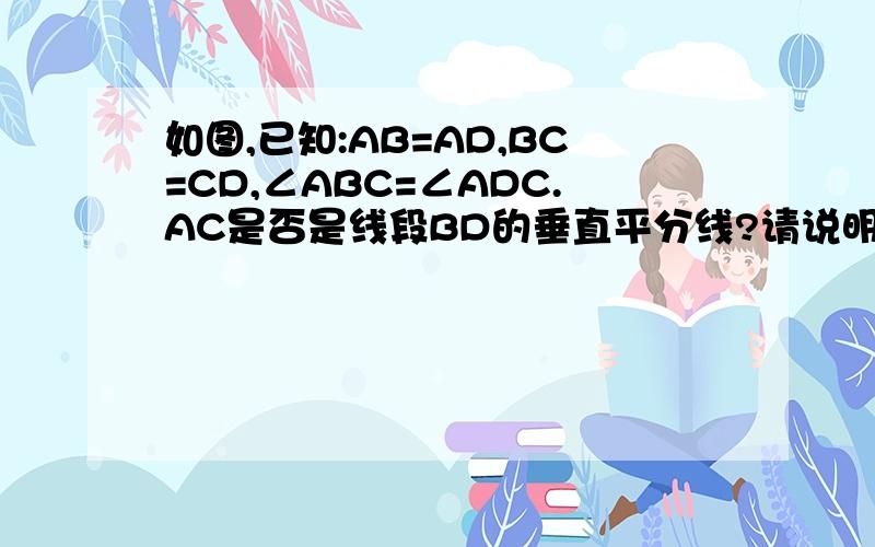 如图,已知:AB=AD,BC=CD,∠ABC=∠ADC.AC是否是线段BD的垂直平分线?请说明理由.