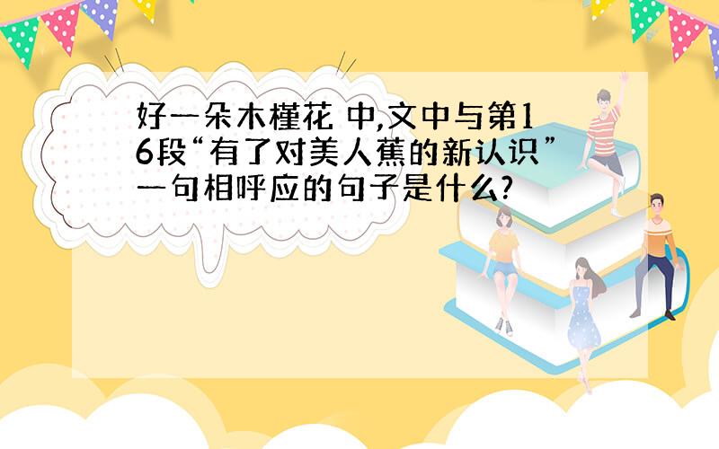 好一朵木槿花 中,文中与第16段“有了对美人蕉的新认识”一句相呼应的句子是什么?