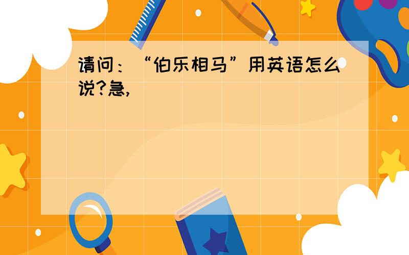 请问：“伯乐相马”用英语怎么说?急,