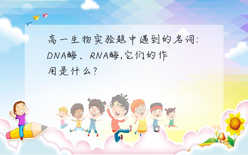 高一生物实验题中遇到的名词:DNA酶、RNA酶,它们的作用是什么?