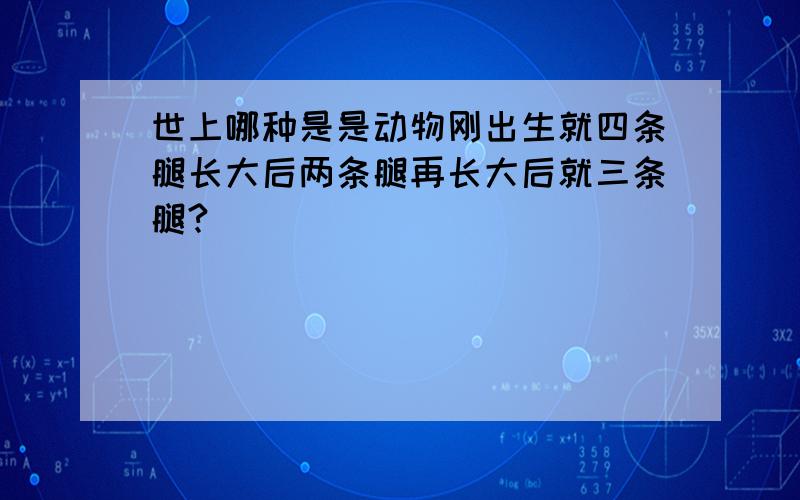 世上哪种是是动物刚出生就四条腿长大后两条腿再长大后就三条腿?