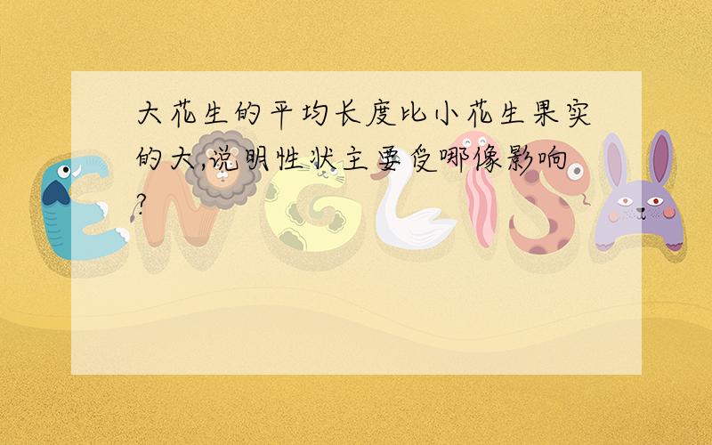 大花生的平均长度比小花生果实的大,说明性状主要受哪像影响?