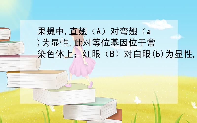 果蝇中,直翅（A）对弯翅（a)为显性,此对等位基因位于常染色体上；红眼（B）对白眼(b)为显性,此对等位基因位于X染色体