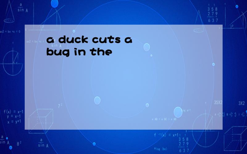 a duck cuts a bug in the