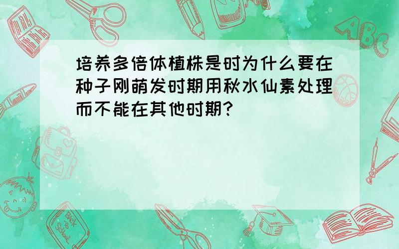 培养多倍体植株是时为什么要在种子刚萌发时期用秋水仙素处理而不能在其他时期?