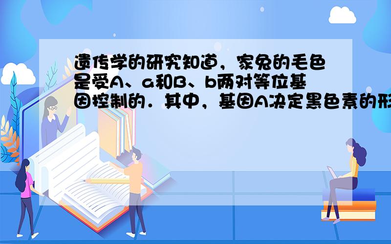 遗传学的研究知道，家兔的毛色是受A、a和B、b两对等位基因控制的．其中，基因A决定黑色素的形成；基因B决定黑色素毛皮内的