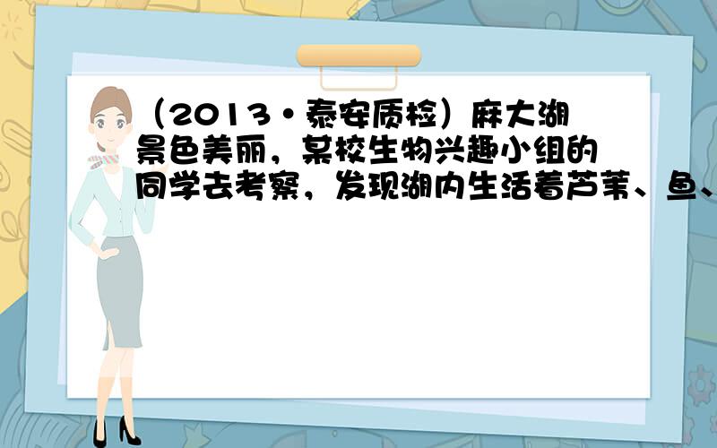 （2013•泰安质检）麻大湖景色美丽，某校生物兴趣小组的同学去考察，发现湖内生活着芦苇、鱼、水草、鸭子的各种生物．下面是