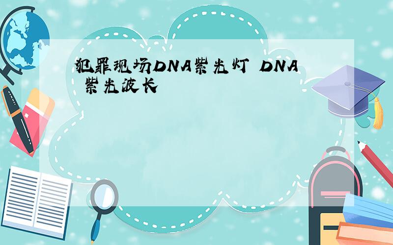 犯罪现场DNA紫光灯 DNA 紫光波长