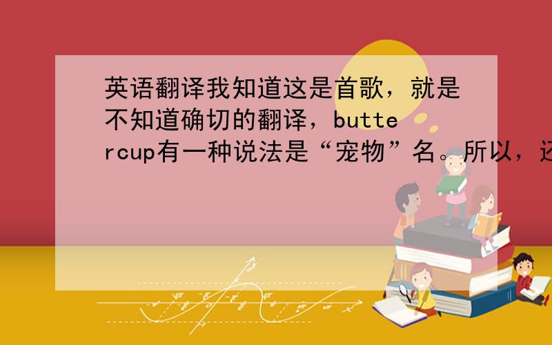 英语翻译我知道这是首歌，就是不知道确切的翻译，buttercup有一种说法是“宠物”名。所以，还真不好确定。