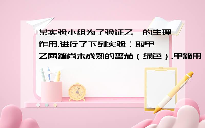 某实验小组为了验证乙烯的生理作用，进行了下列实验：取甲、乙两箱尚未成熟的番茄（绿色），甲箱用一定量的乙烯利（可释放出乙烯