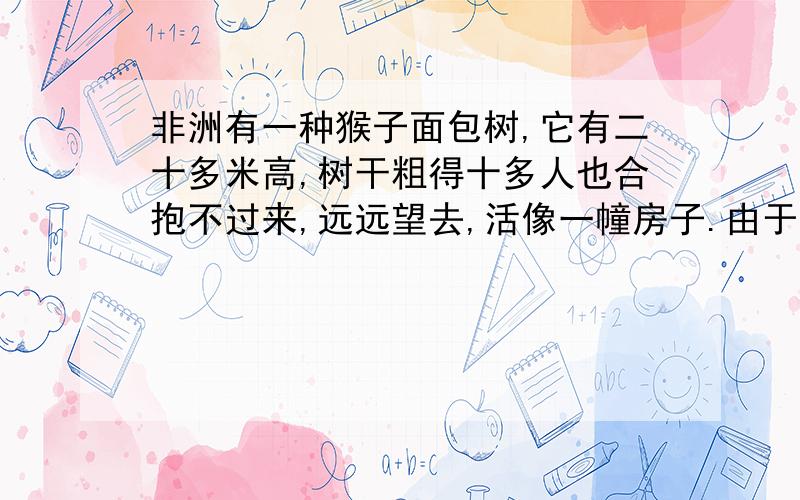 非洲有一种猴子面包树,它有二十多米高,树干粗得十多人也合抱不过来,远远望去,活像一幢房子.由于它个子大,人们就给了他一个