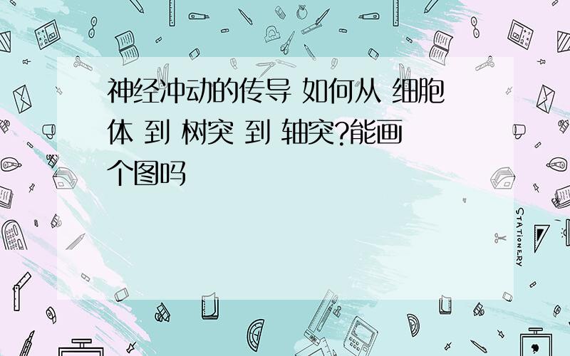 神经冲动的传导 如何从 细胞体 到 树突 到 轴突?能画个图吗