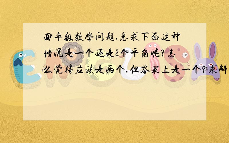 四年级数学问题,急求下面这种情况是一个还是2个平角呢?怎么觉得应该是两个,但答案上是一个?求解释.