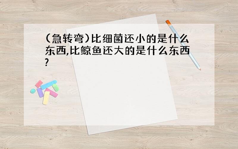 (急转弯)比细菌还小的是什么东西,比鲸鱼还大的是什么东西?