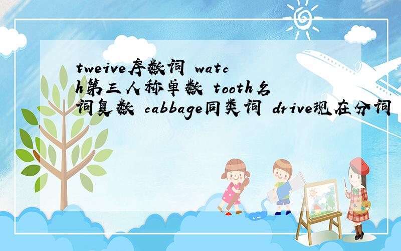 tweive序数词 watch第三人称单数 tooth名词复数 cabbage同类词 drive现在分词 she形容词性