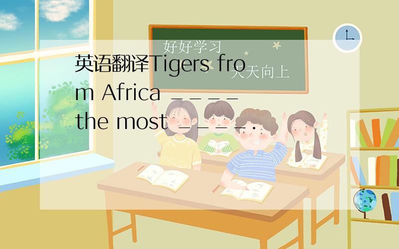 英语翻译Tigers from Africa ____ the most ____.