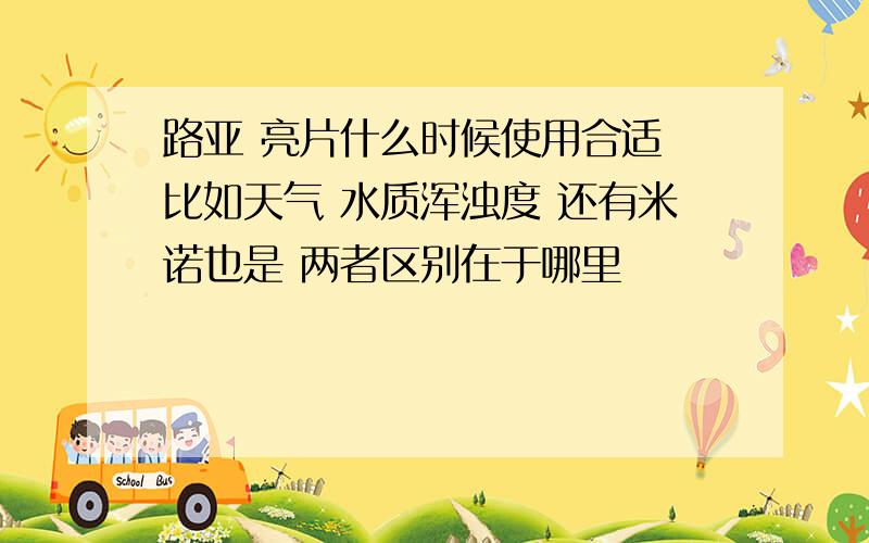 路亚 亮片什么时候使用合适 比如天气 水质浑浊度 还有米诺也是 两者区别在于哪里