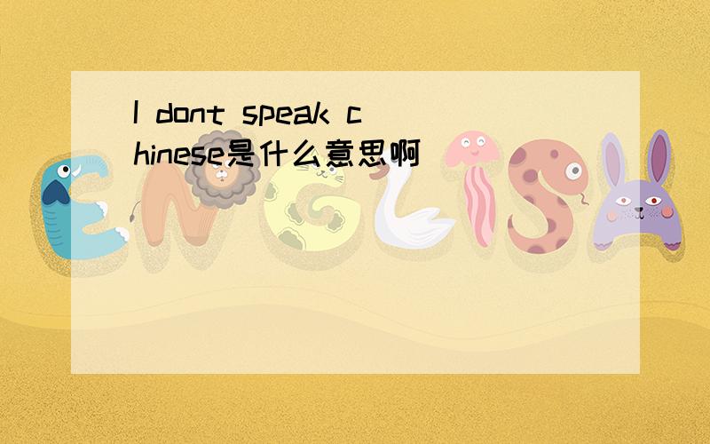 I dont speak chinese是什么意思啊