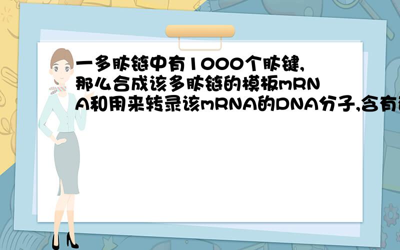 一多肽链中有1000个肽键,那么合成该多肽链的模板mRNA和用来转录该mRNA的DNA分子,含有碱基几个