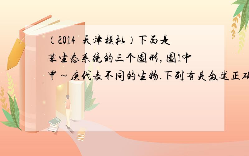 （2014•天津模拟）下面是某生态系统的三个图形，图1中甲～庚代表不同的生物．下列有关叙述正确的是（　　）