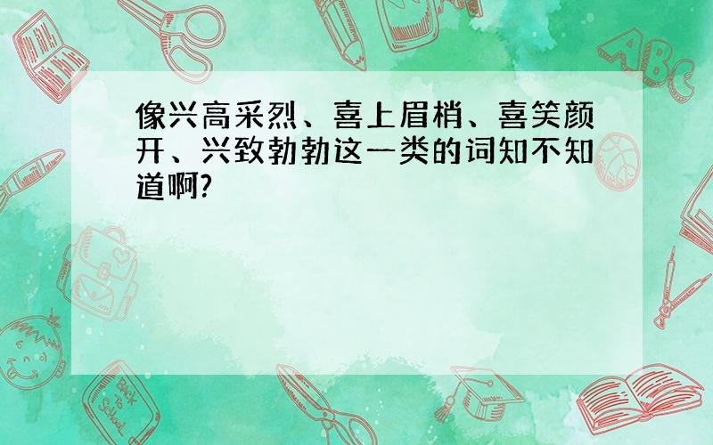 像兴高采烈、喜上眉梢、喜笑颜开、兴致勃勃这一类的词知不知道啊?