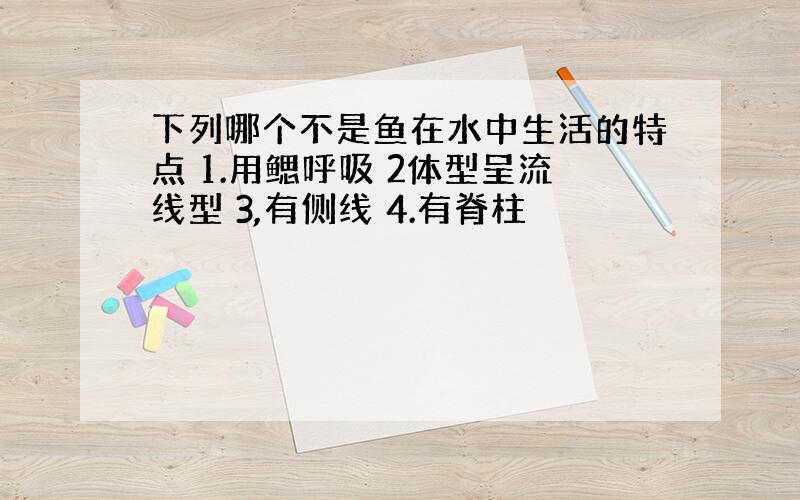 下列哪个不是鱼在水中生活的特点 1.用鳃呼吸 2体型呈流线型 3,有侧线 4.有脊柱